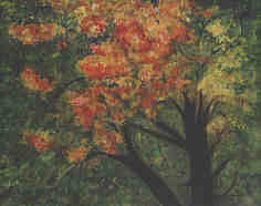 Baum